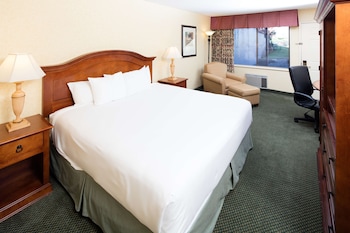 Room, 1 King Bed, Accessible, Non Smoking
