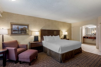 Standard Room, 1 King Bed, Non Smoking