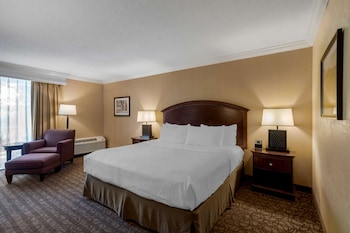 Standard Room, 1 King Bed, Non Smoking