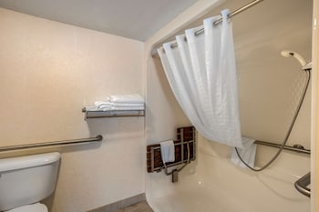 Standard Room, 1 King Bed with Sofa bed, Accessible, Non Smoking (with Sofabed)