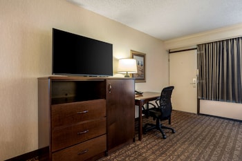 Standard Room, 1 King Bed, Non Smoking