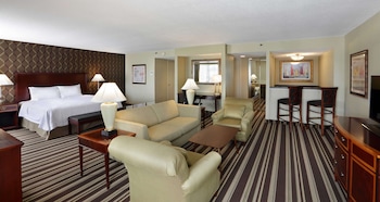 Suite, 1 King Bed with Sofa bed, Non Smoking
