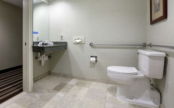 Standard Room, 1 Double Bed with Sofa bed, Accessible (Roll-In Shower)