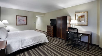 Standard Room, 1 King Bed, Accessible (Roll-In Shower)