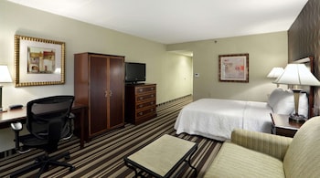 Standard Room, 1 Double Bed with Sofa bed, Accessible (Roll-In Shower)