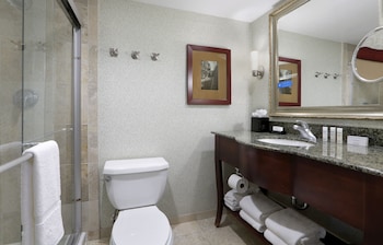 Suite, 1 King Bed with Sofa bed, Non Smoking