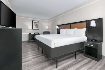 Room, 1 King Bed, Accessible, Non Smoking (Mobility/Hearing Impaired Accessible)