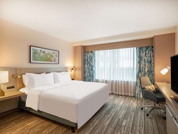 Room, 1 King Bed, Accessible (Mobility & Hearing, Roll-In Shower)