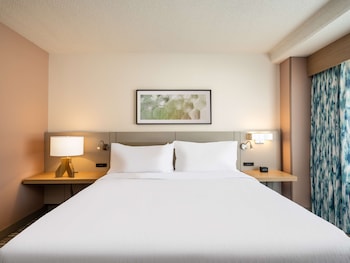 Room, 1 King Bed, Accessible, Bathtub (Mobility & Hearing)