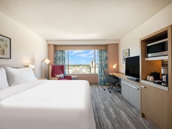 Single Room, 1 King Bed
