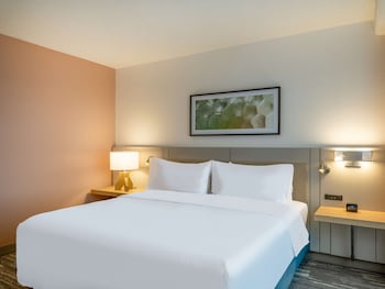 Room, 1 King Bed, Accessible (Roll-In Shower)