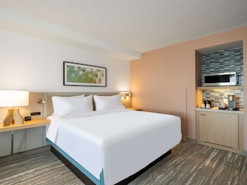 Room, 1 King Bed, Accessible, River View (Hearing)