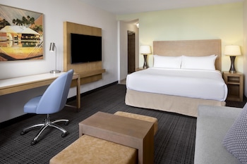 Studio, 1 King Bed, City View
