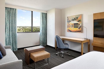 Studio, 1 King Bed, City View