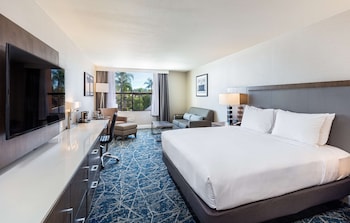 Room, 1 King Bed, Non Smoking (Mobility & Hearing, Roll-in Shower)