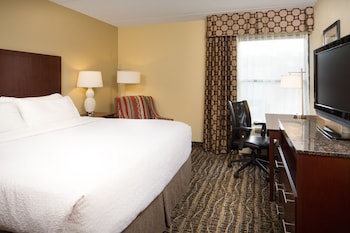 Suite, 1 King Bed