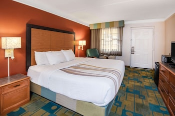 Room, 1 King Bed, Non Smoking
