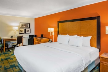Room, 1 King Bed, Accessible, Non Smoking (Mobility Accessible)