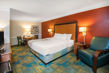 Room, 1 King Bed, Non Smoking