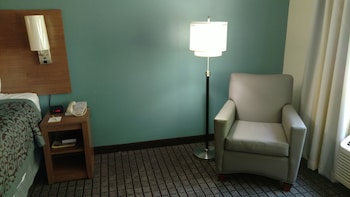 Room, 1 King Bed, Non Smoking