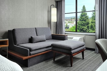 Room, 1 King Bed with Sofa bed