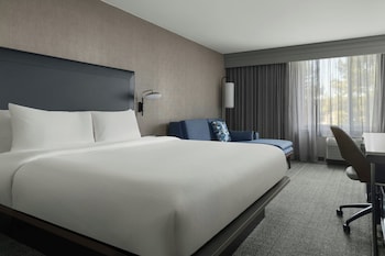 Room, 1 King Bed with Sofa bed