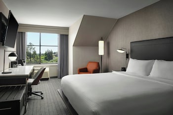 Room, 1 King Bed with Sofa bed