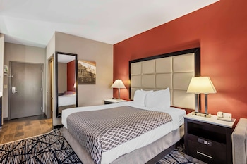 Standard Room, 1 King Bed, Non Smoking, Refrigerator & Microwave