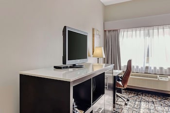 Standard Room, 1 Queen Bed, Non Smoking, Kitchen (Full Kitchen)