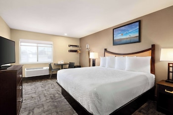 Room, 1 King Bed, Non Smoking