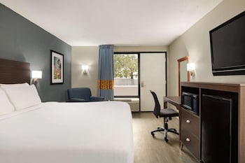 Room, 1 King Bed, Non Smoking