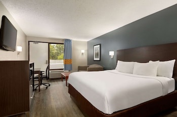 Studio Suite, 1 King Bed, Non Smoking