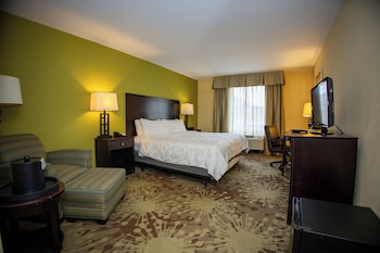 Room, 1 King Bed, Accessible, Non Smoking (Bathtub W/grab Bars)