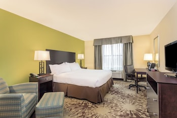 Room, 1 King Bed, Accessible, Non Smoking (Bathtub W/grab Bars)