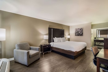Standard Room, 1 King Bed, Non Smoking