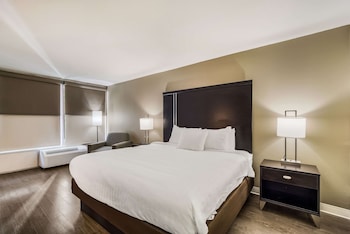 Standard Room, 1 King Bed, Non Smoking