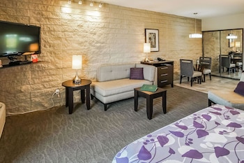 Classic Studio, 1 King Bed