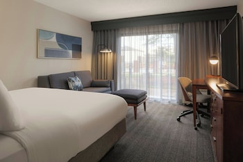 Room, 1 King Bed with Sofa bed, Mobility Accessible