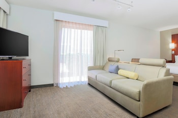 Studio, 1 King Bed with Sofa bed (Mobility/Hearing Access, Roll-In Shwr)