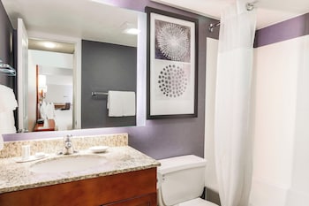 Studio, 1 King Bed with Sofa bed (Mobility/Hearing Access, Roll-In Shwr)