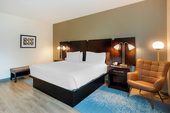 Standard Room, 1 King Bed (Mobility/Hearing Access, Roll-in Shwr)