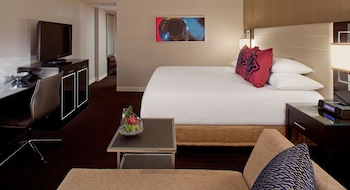 Room, 1 King Bed