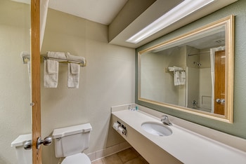 Basic Double Room