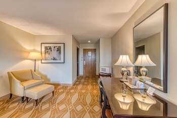 Basic Single Room