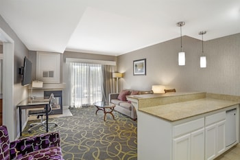Suite, 1 Queen Bed, Accessible, Kitchenette (with Sofabed)