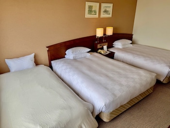 Deluxe Triple Room (2 beds with 1 extra bed)