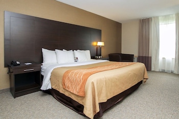 Room, 1 King Bed, Non Smoking