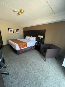 Room, 1 King Bed, Non Smoking