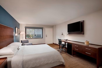 Room, 1 King Bed with Sofa bed