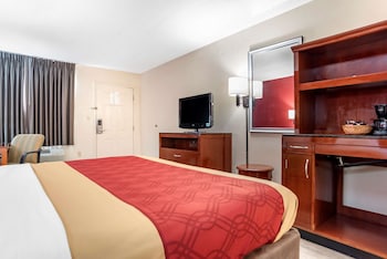 Standard Room, 1 King Bed, Non Smoking